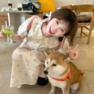 慈膳救援