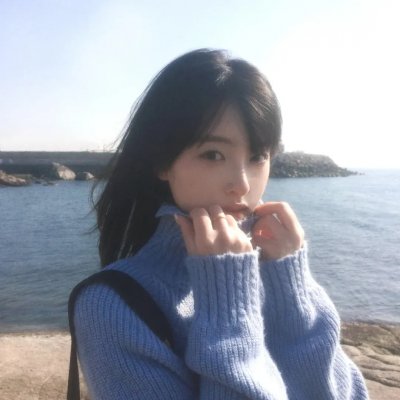 疯狂的狮王